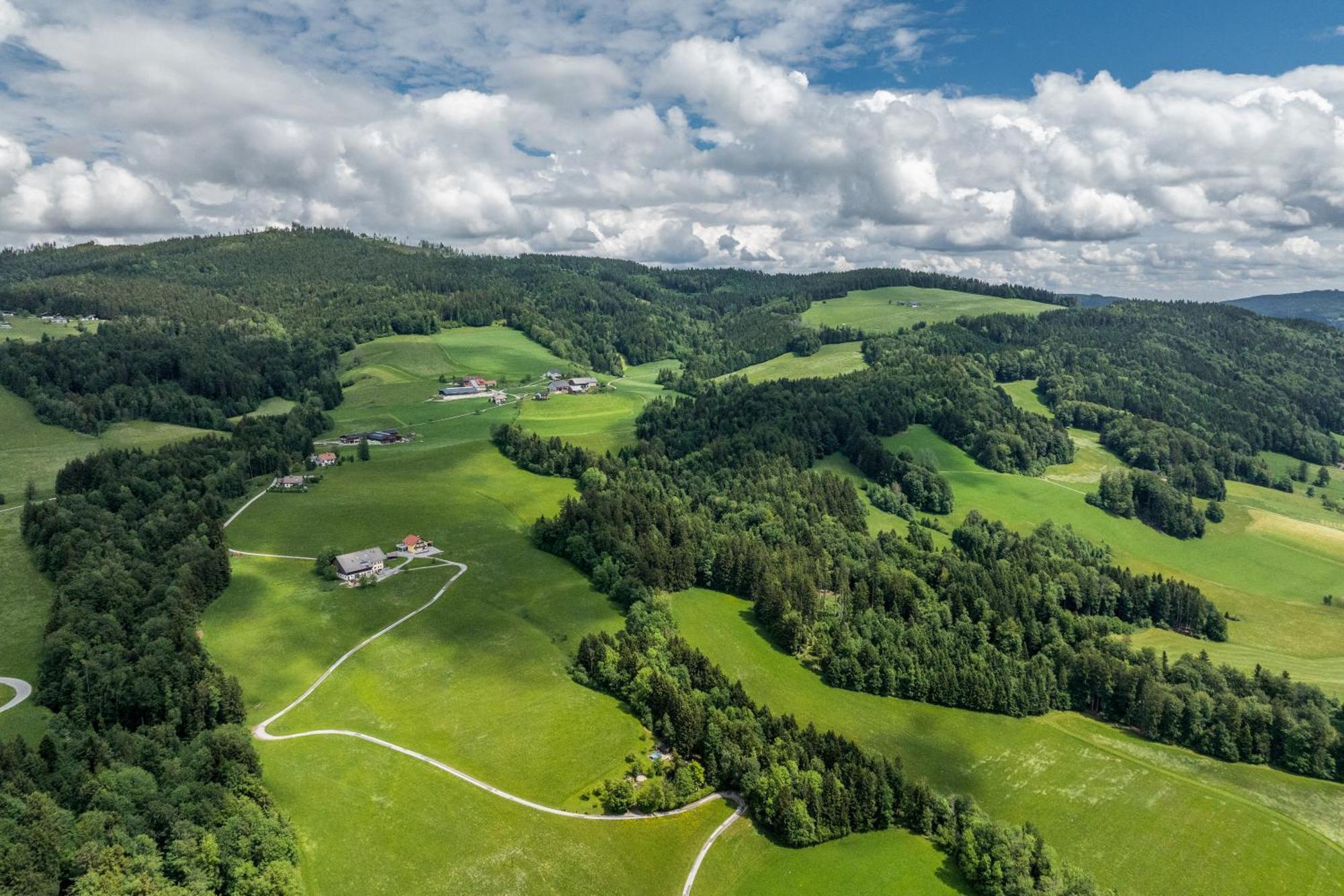 Scheierlweg Thalgau