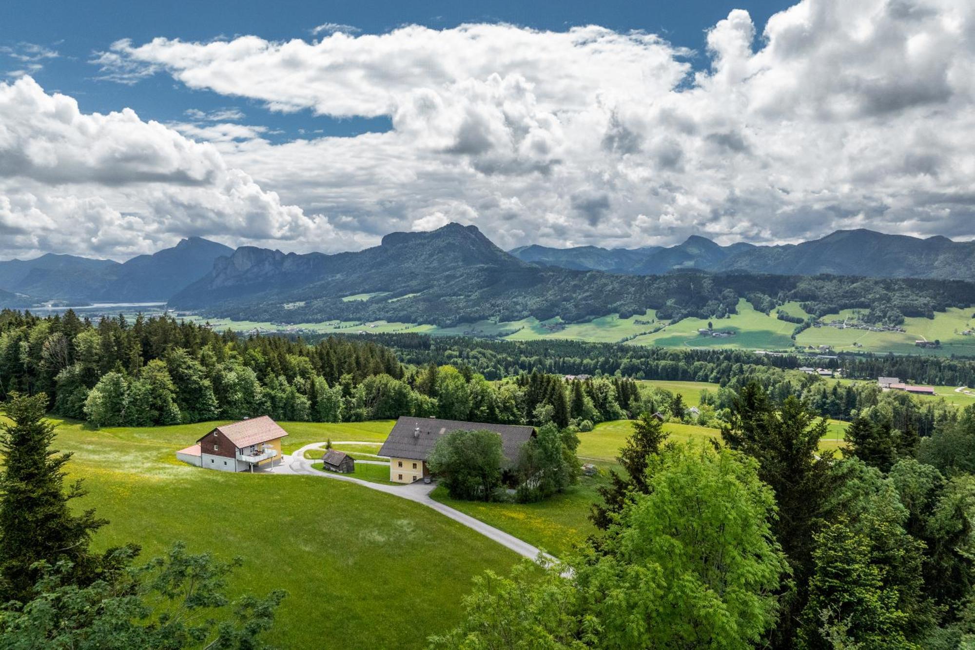 Apartment Scheierlweg Thalgau